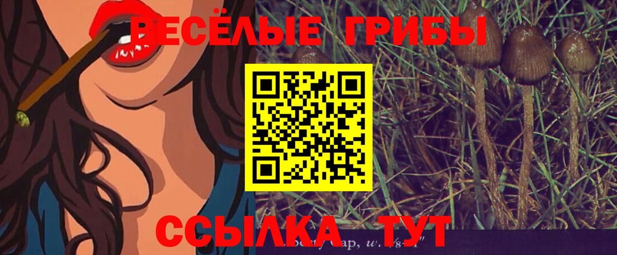 Галлюциногенные грибы Cubensis Похвистнево